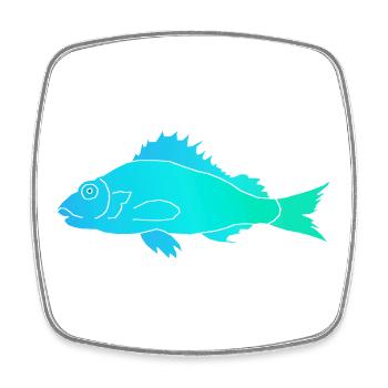 Fisch mit Zackenflosse - Viereckiger Kühlschrankmagnet - Weiß - Vorne