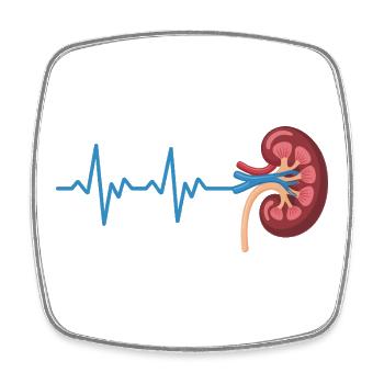 Nierenrhythmus Grafik - Viereckiger Kühlschrankmagnet - Weiß - Vorne