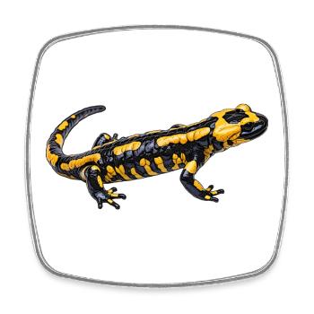 Feuersalamander design - Viereckiger Kühlschrankmagnet - Weiß - Vorne