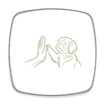 Poignée de main de chien High Five Paw Connexion humaine - Magnet carré - blanc - Devant