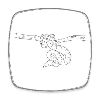 Snake (b&w) - Square fridge magnet - white - Front