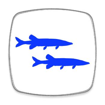 Pike Fish - Square fridge magnet - white - Front