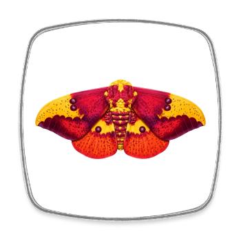 Imperial Moth Eacles imperialis Cartoon Style - Magnet carré - blanc - Devant