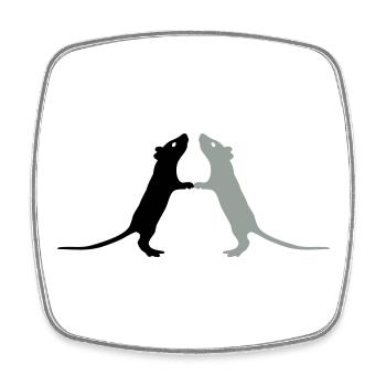 Rats - Square fridge magnet - white - Front