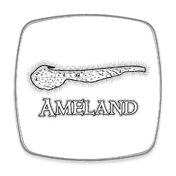 Ameland | Antike Landkarte | Schatzkarte - Viereckiger Kühlschrankmagnet - Weiß - Vorne