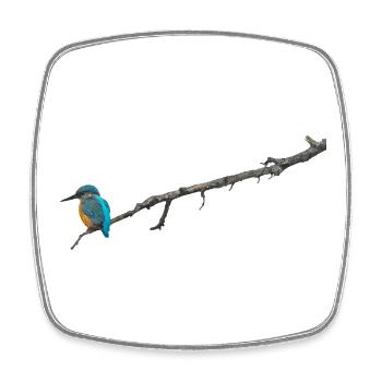 Eisvogel auf einem Ast - Viereckiger Kühlschrankmagnet - Weiß - Vorne