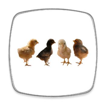 Chick - Square fridge magnet - white - Front