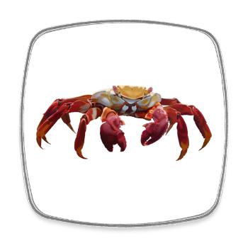 Crabe - Magnet carré - blanc - Devant