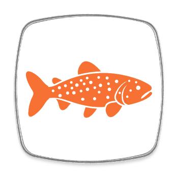trout - Square fridge magnet - white - Front