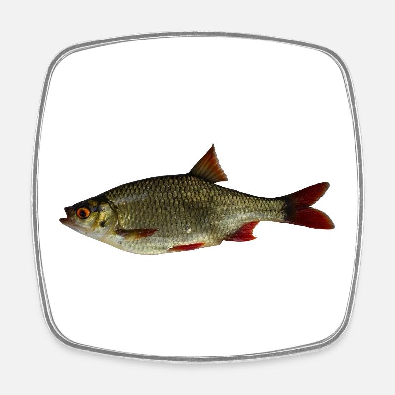 Common rudd - Square fridge magnet - white