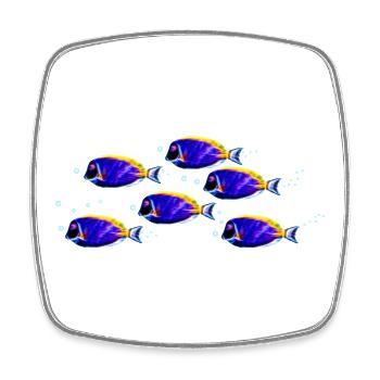 Poisson-chirurgien (07) - Magnet carré - blanc - Devant