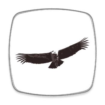 Condor - Square fridge magnet - white - Front