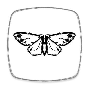 Nachtfalter / Schmetterling / Motte - Viereckiger Kühlschrankmagnet - Weiß - Vorne