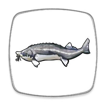Schwanzmuster von gewühltem Kelfisch - Viereckiger Kühlschrankmagnet - Weiß - Vorne