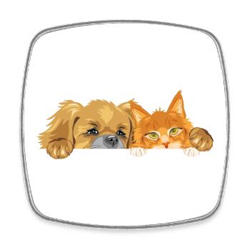 Pekingese dog and Ginger Maine Coon cat - Square fridge magnet - white - Front