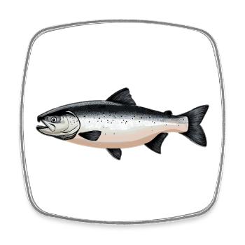 Lachse Lachs - Viereckiger Kühlschrankmagnet - Weiß - Vorne