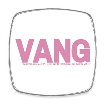 VANG - Square fridge magnet - white - Front