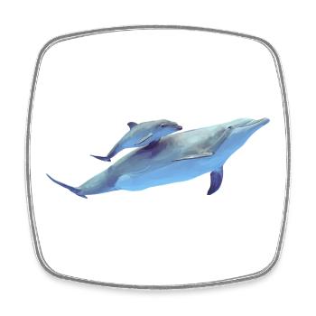 Delfin - Viereckiger Kühlschrankmagnet - Weiß - Vorne