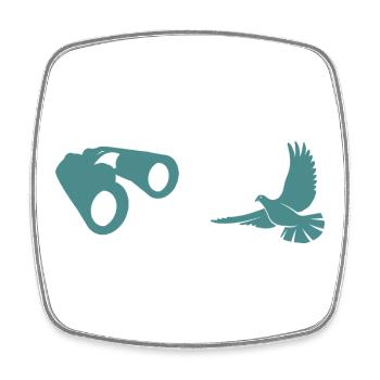 Minimalistische Vogelbeobachtung Silhouette - Viereckiger Kühlschrankmagnet - Weiß - Vorne