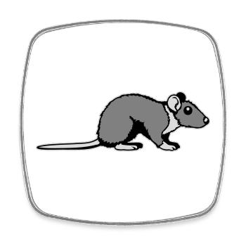 Rat Side Profile Cute Funny Rodent Animal Comic - Square fridge magnet - white - Front