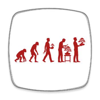 Japanese Bonsai Tree Plant Evolution Bonsai - Square fridge magnet - white - Front
