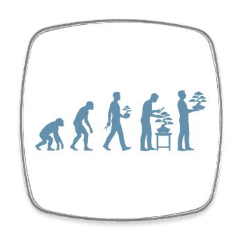 Bonsaï Évolution des plantes Bonsaï japonaises - Magnet carré - blanc - Devant