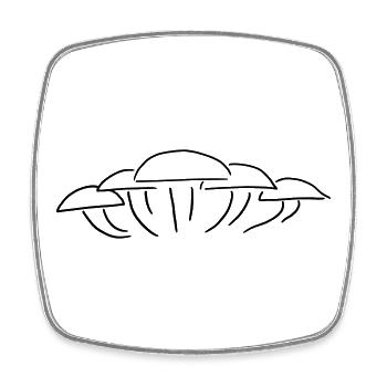Pilzgruppe - Eine Gruppe Pilze - Viereckiger Kühlschrankmagnet - Weiß - Vorne