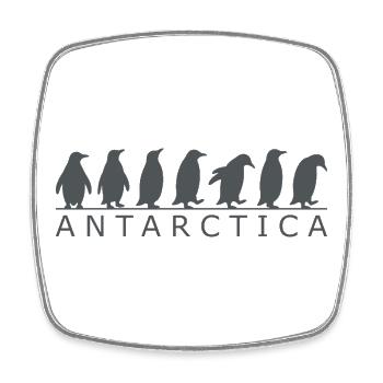 Familienurlaub in der Antarktis: Pinguine in der A - Viereckiger Kühlschrankmagnet - Weiß - Vorne