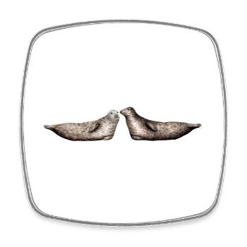Gray seal - Gray seals - Gray Phoques - Square fridge magnet - white - Front