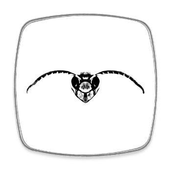 Hornisse / Hornissendrohne / Insekt - Viereckiger Kühlschrankmagnet - Weiß - Vorne