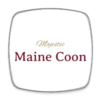 Majestic Maine Coon cat - Square fridge magnet - white - Front