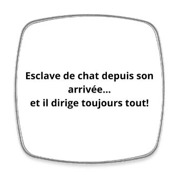 Esclave_de_chat_depuis_son_arrive-- - Magnet carré - blanc - Devant