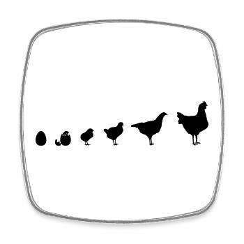Fans de poulet - Coq - Coq - Poussin - Œuf - Bio - Magnet carré - blanc - Devant