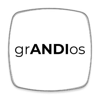 grandios Andreas Andy Andrea Spruch Name Geschenk - Viereckiger Kühlschrankmagnet - Weiß - Vorne