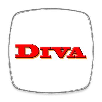 DIVA - Viereckiger Kühlschrankmagnet - Weiß - Vorne