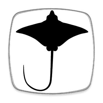 Ray – Flotteur élégant des mers - Magnet carré - blanc - Devant