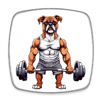 Muscle Boxer Dog Bodybuilding Fun - Square fridge magnet - white - Front