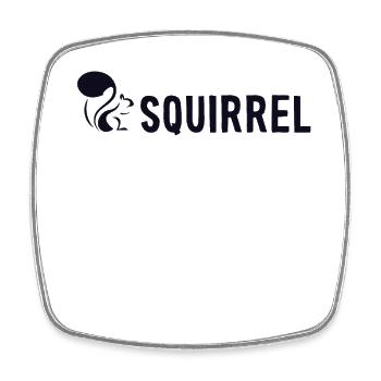 Squirrel Fuchshörnchen Grauhörnchen Squirrel - Viereckiger Kühlschrankmagnet - Weiß - Vorne