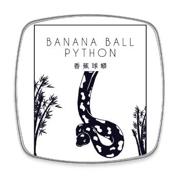 Banana Ball Python Chinese Hanzi Snake Banana - Square fridge magnet - white - Front