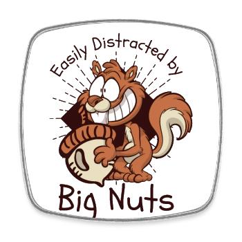 Easily Distracted By Big Nuts Squirrel - Viereckiger Kühlschrankmagnet - Weiß - Vorne