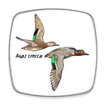 Teal in flight - Square fridge magnet - white - Front