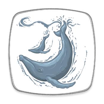 humpback - Viereckiger Kühlschrankmagnet - Weiß - Vorne