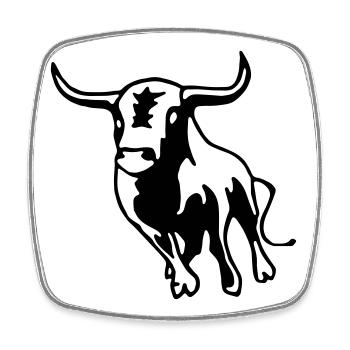 Stier,Torero,Bulle,Matador, - Viereckiger Kühlschrankmagnet - Weiß - Vorne