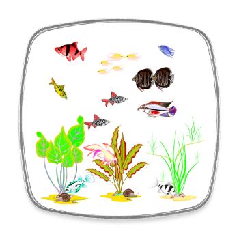 Vivid Tropical Reef Life Scene - Square fridge magnet - white - Front