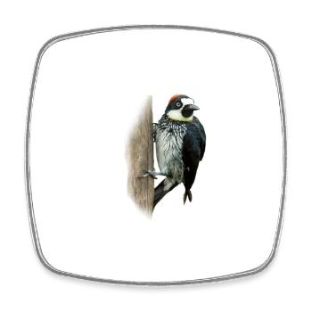 Colorful woodpecker shirt gift bird nature animal nectar - Square fridge magnet - white - Front