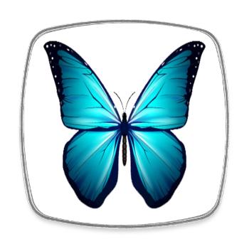 Butterfly Geschenk Shirt Braun Blau Exotische Tier - Viereckiger Kühlschrankmagnet - Weiß - Vorne