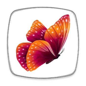 Butterfly Geschenk Shirt Orange Exotisches Tier - Viereckiger Kühlschrankmagnet - Weiß - Vorne