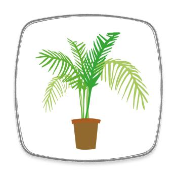 palm tree - Square fridge magnet - white - Front