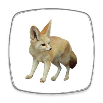 Fuchs Fennek Wildhund Wildnis Tier Foto Geschenk - Viereckiger Kühlschrankmagnet - Weiß - Vorne
