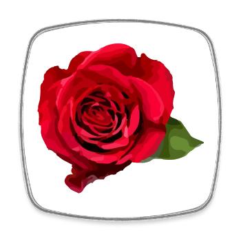 Rose - Viereckiger Kühlschrankmagnet - Weiß - Vorne
